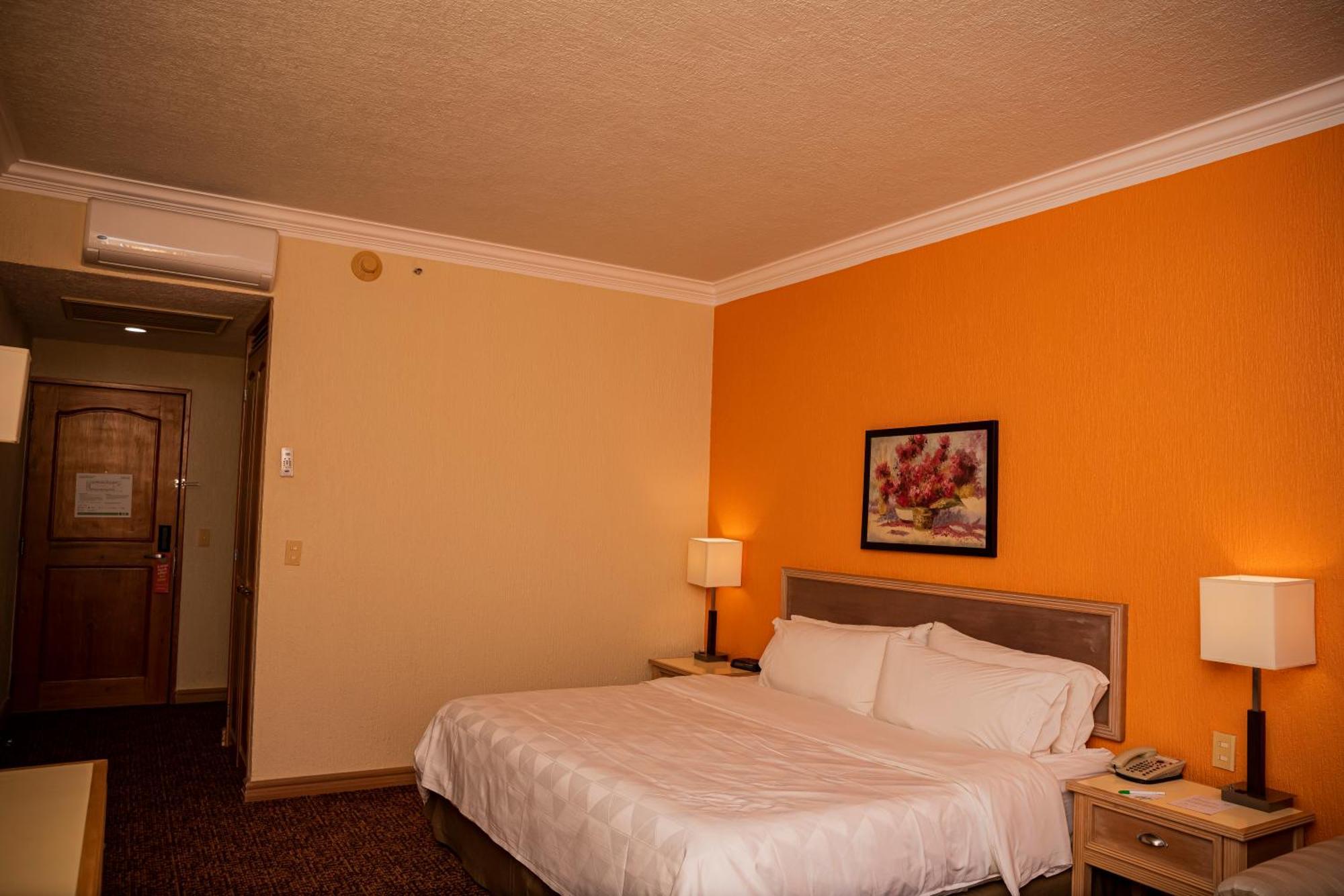Holiday Inn La Piedad By Ihg Eksteriør bilde